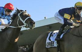 Randwick Racing Tips 2020 Epsom Handicap Day