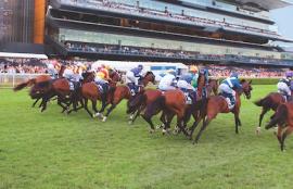 Horse Racing Saturday Betting Tips