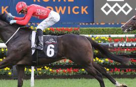 Randwick Racing Tips