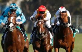 Rosehill Racing Tips