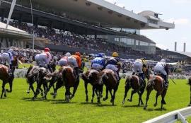 Rosehill Racing Tips