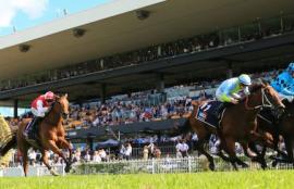 Rosehill Racing Tips