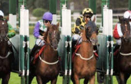 Wednesday Racing Tips