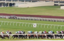 Wednesday Racing Tips