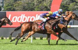 Sandown Racing Tips