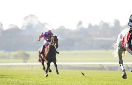 Sandown Betting Tips