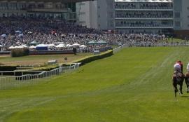 Horse Racing Betting Tips