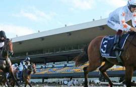 Saturday Racing Betting Tips