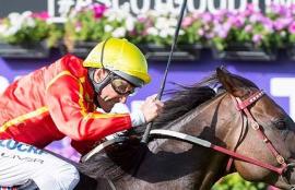 Saturday Racing Betting Tips