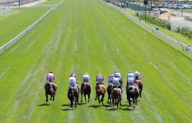 Saturday Racing Betting Tips