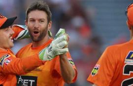 BBL13 Daily Fantasy Tips