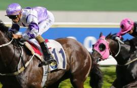 Sha Tin Racing Tips Sunday October 11th