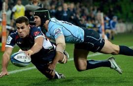 Super Rugby Tips
