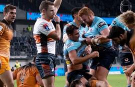 Super Rugby Tips