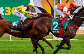 Australian Horse Racing Tips Tuesday September 29th
