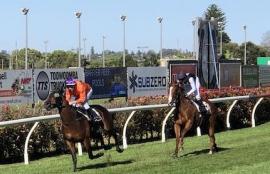 Toowoomba Racing Tips