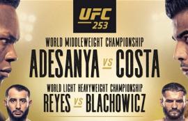 UFC 253 Betting Tips