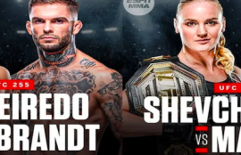 UFC 255 Betting Tips