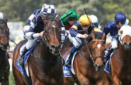 Caulfield Racing Tips Saturday September 26th