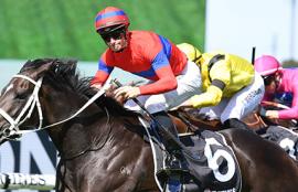 Horse Racing Tips Saturday April 17th