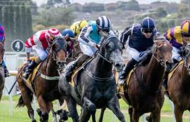 Warrnambool Racing Tips