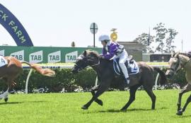 Warwick Farm Racing Tips
