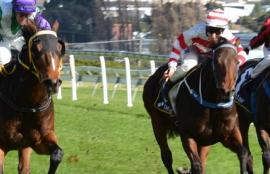 Wednesday Racing Tips