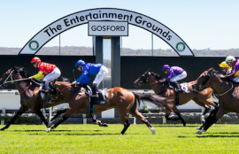 Wednesday Racing Tips