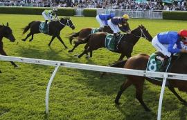 Horse Racing Betting Tips