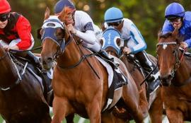 Horse Racing Betting Tips