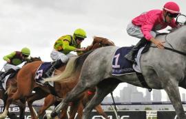 Wednesday Racing Tips July 21st