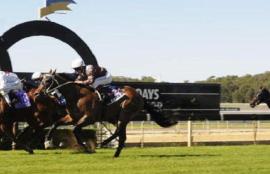 Horse Racing Tips: Wednesday, January 20th