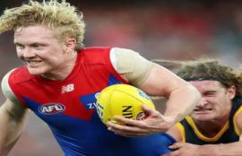Brownlow votes Round 10
