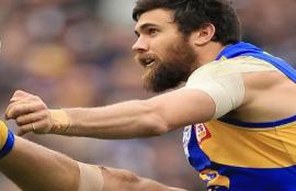 AFL Josh Kennedy Brownlow Round 8