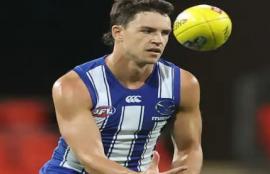 AFL Brownlow Round 17