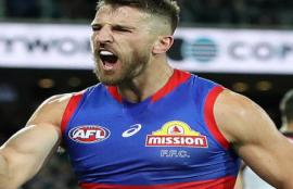 AFL Brownlow Round 12