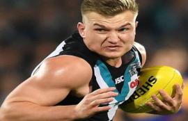 Brownlow Votes Round 13