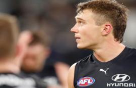 AFL Brownlow Round 23