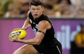 AFL Brownlow Round 5 Votes