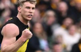 AFL Brownlow Round 22