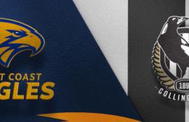 AFL West Coast vs Collingwood