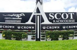 Ascot Racing Tips