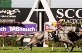 Ascot Racing Tips