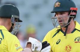 Cricket Betting Tips