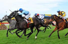 Australian Horse Racing Tips Thursday September 10th