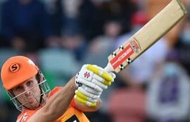 BBL11 Scorchers vs Renegades Betting Tips