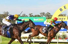 Bendigo Cup Tips
