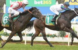 Bendigo Racing Tips Wednesday September 16th