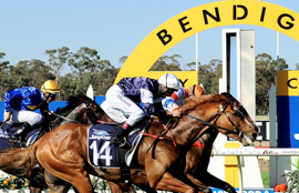 Bendigo Cup