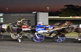 Harness Racing Tips